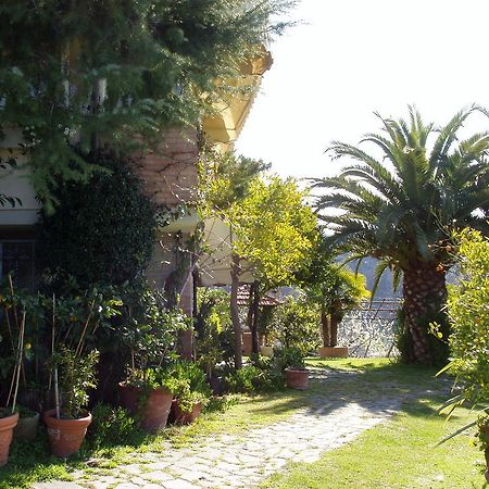 La Chandelle Massarosa Εξωτερικό φωτογραφία